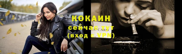 тгк Нея