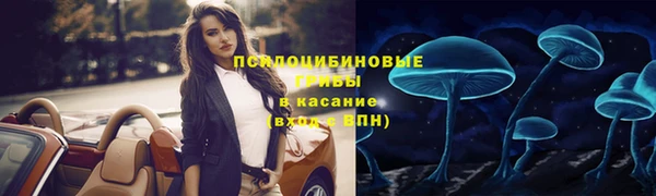 меф Нефтегорск