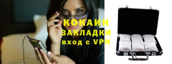 тгк Нея