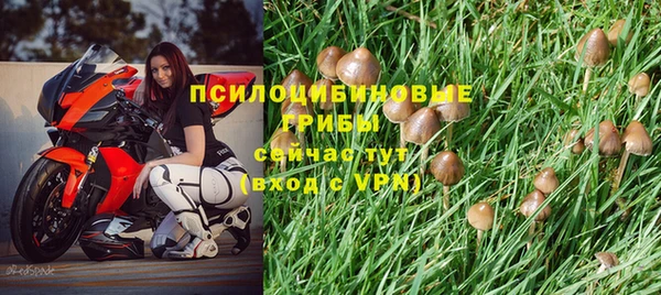 тгк Нея