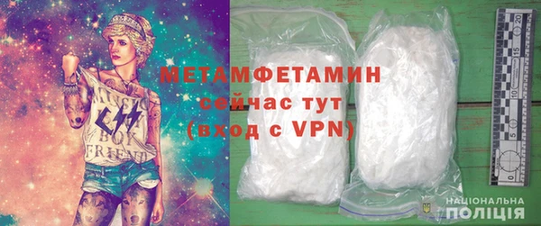 шишки Надым