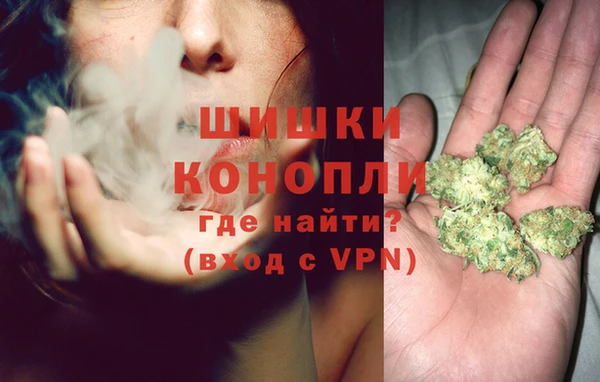 тгк Нея