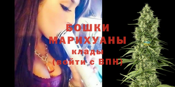 тгк Нея