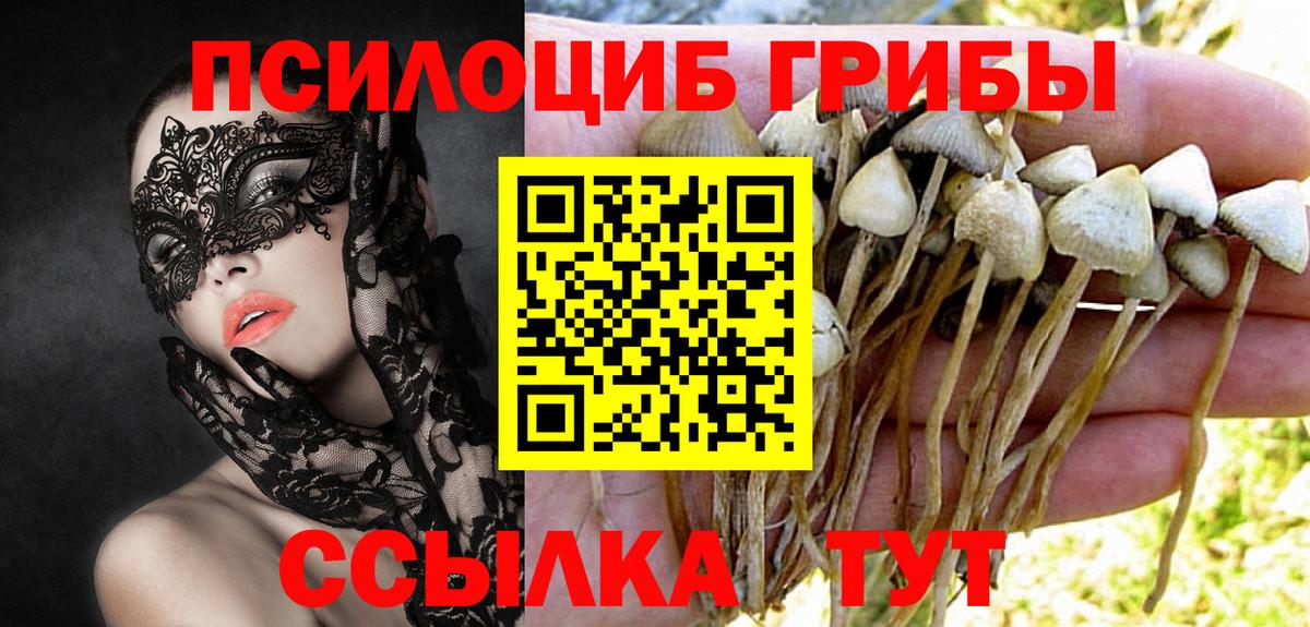 Галлюциногенные грибы GOLDEN TEACHER Богородск