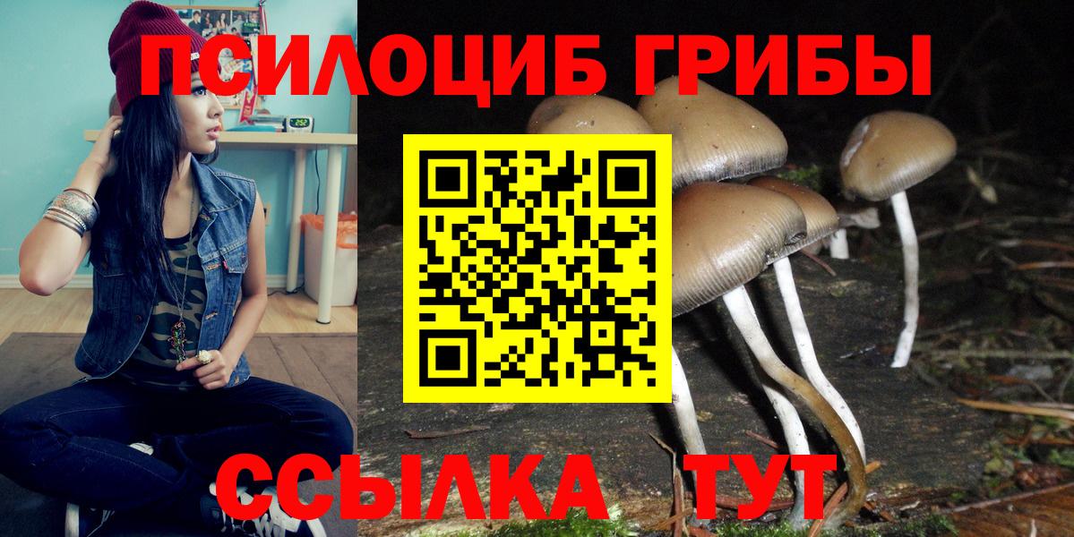 Галлюциногенные грибы GOLDEN TEACHER  Богородск 