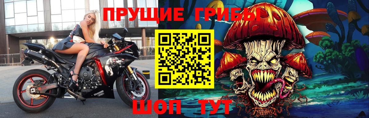 Галлюциногенные грибы Magic Shrooms  Галлюциногенные грибы ЛСД  Богородск  Вход с VPN 