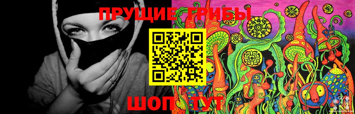 Галлюциногенные грибы MAGIC MUSHROOMS Богородск